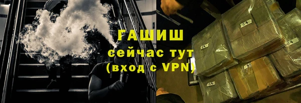 прущие грибы Няндома