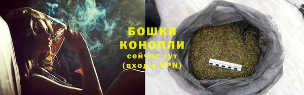 бошки Белокуриха