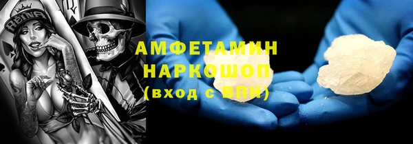 прущие грибы Балахна