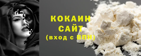 бошки Белокуриха