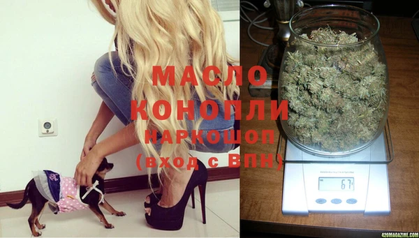 прущие грибы Балахна