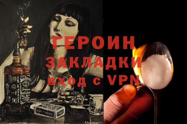прущие грибы Няндома
