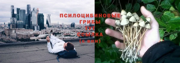 крисы Нязепетровск