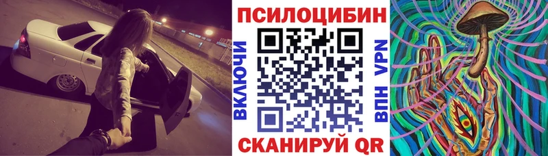 Галлюциногенные грибы Psilocybine cubensis  Нижний Ломов 